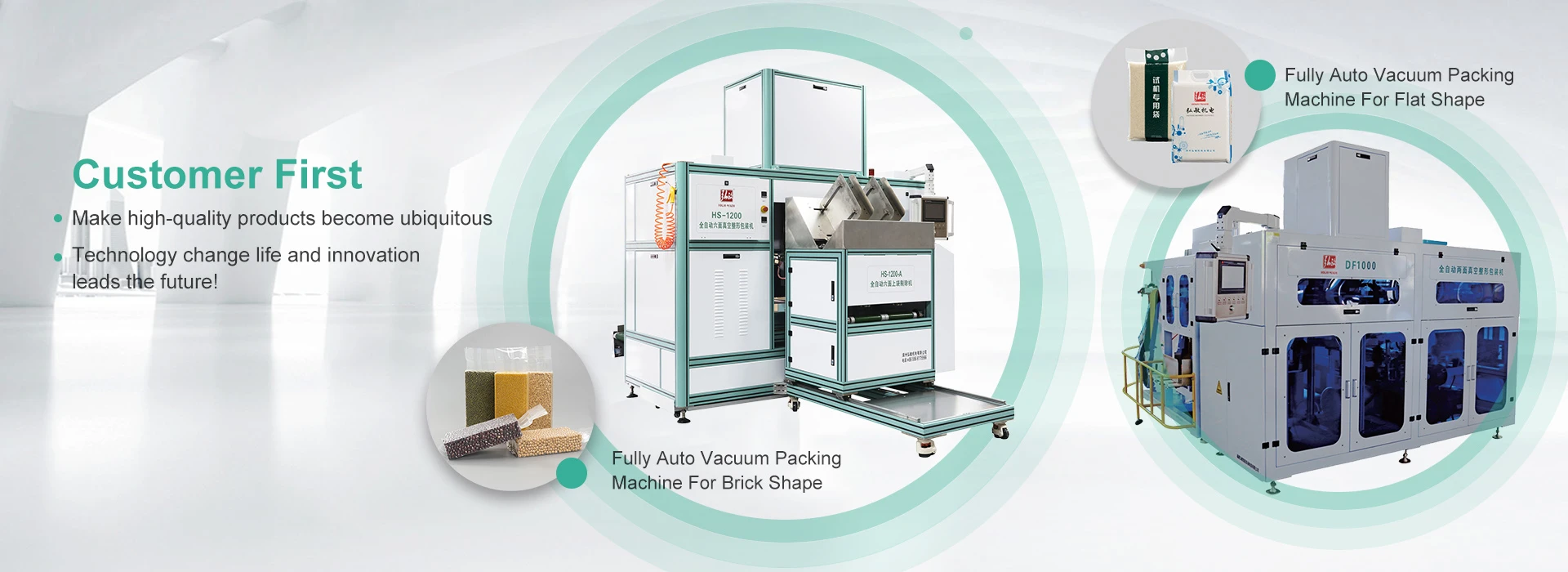 Fully Auto Vacuum Packing Machine
